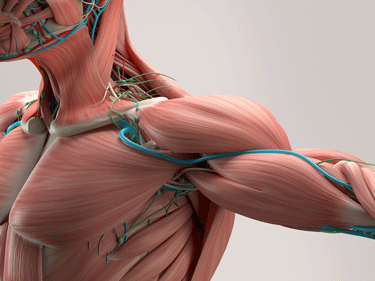 “A Failure to Respond”: the ME/CFS Extracellular Vesicle Exercise Study